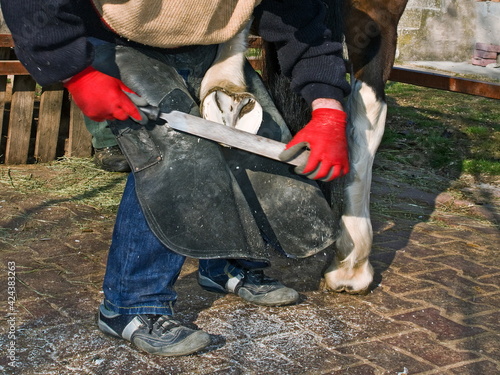 A farrier shoeing a horse, bending down and fitting a new horseshoe to a horse`s hoof