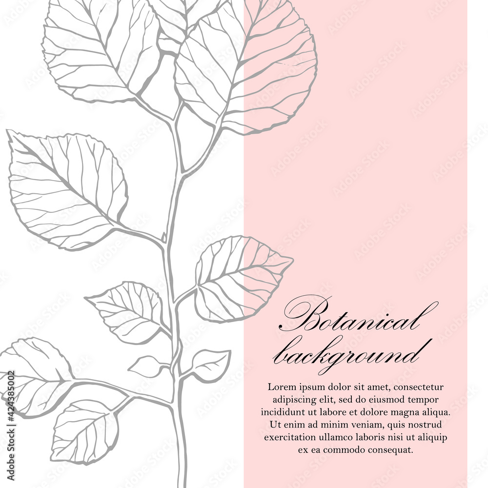 Natural background. Organic botanical design template. Hand drawn Vector illustration of Twig with leaves
