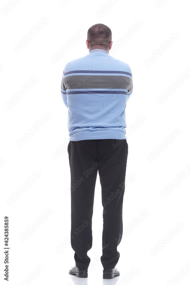 Fototapeta premium rear view. adult male looking at a large white screen