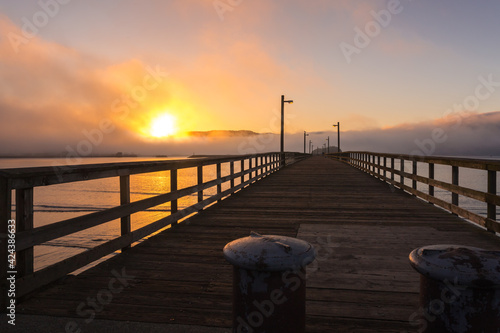 Beachfront park at misty dawn. Crescent City, California photo