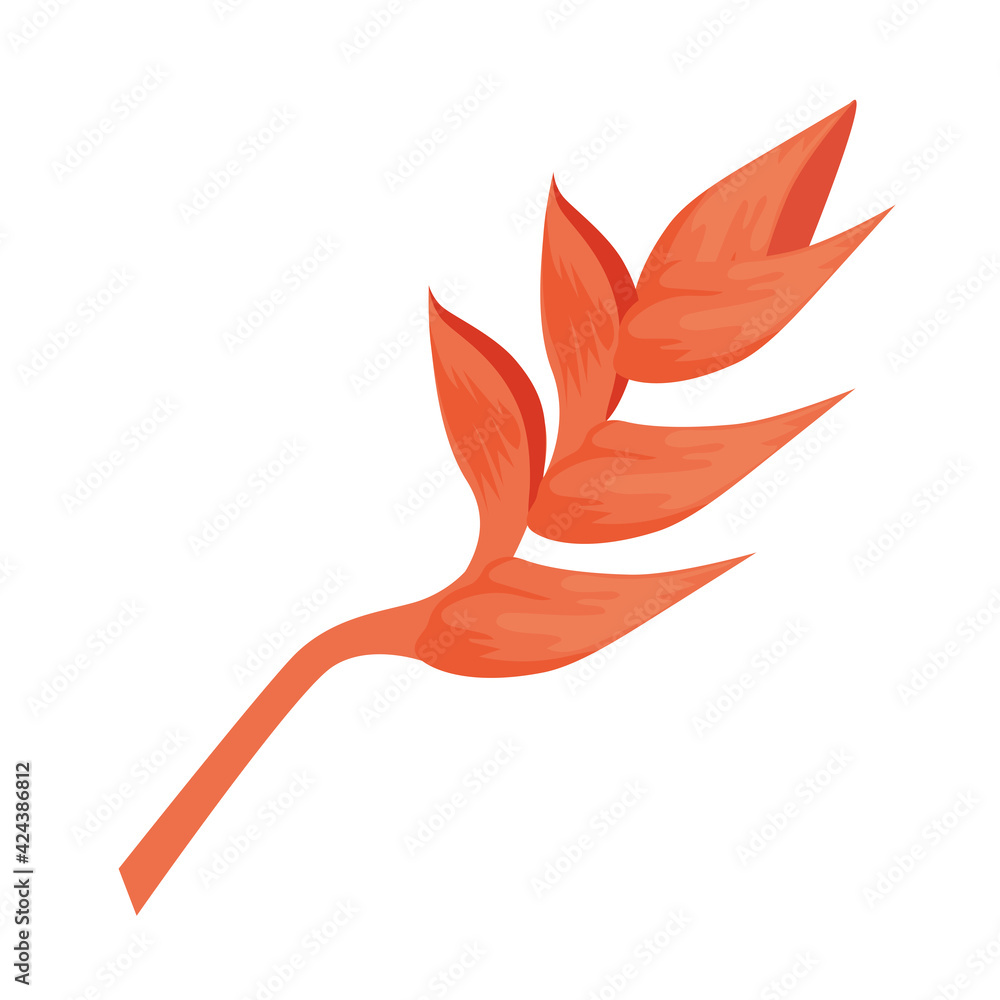 Fototapeta premium tropical heliconia plant