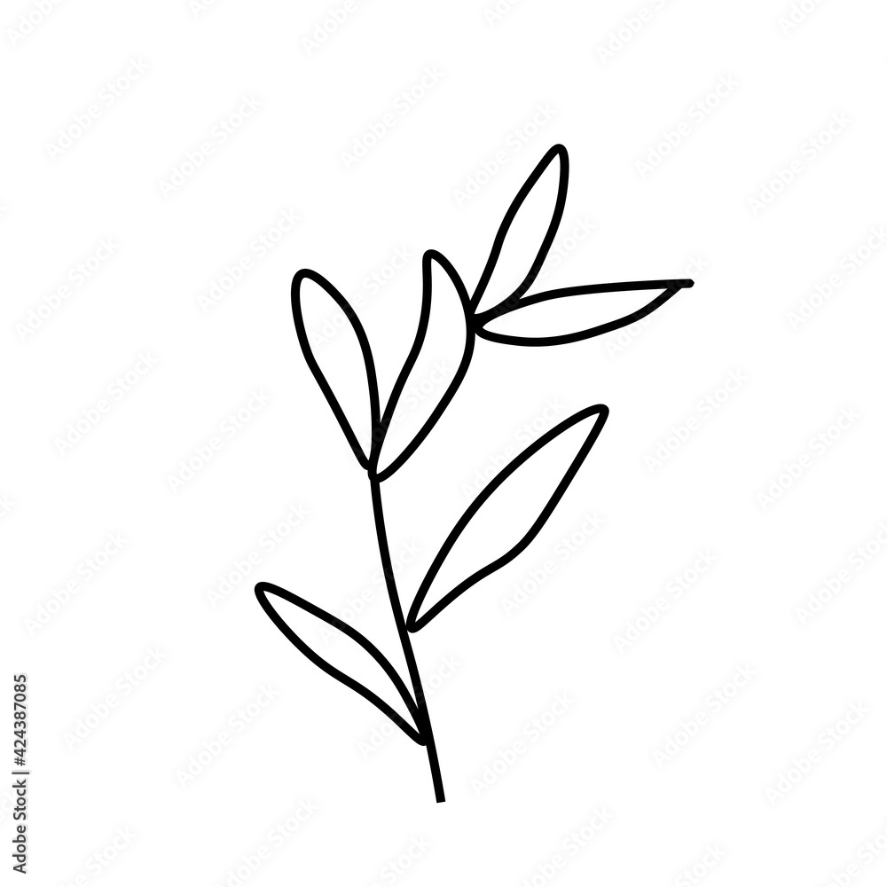 Vector minimalist plant leaf with a black line.One autumn simple hand drawn illustration on white isolated background in doodle style.Design for packaging,social media,posters,postcards.