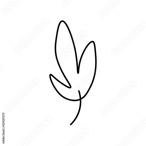 Vector minimalist plant leaf with a black line.One autumn simple hand drawn illustration on white isolated background in doodle style.Design for packaging social media posters postcards.