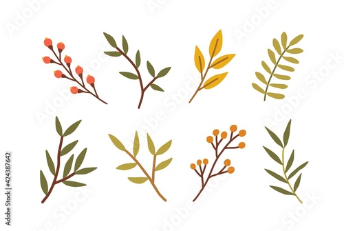 Set of different branches with leaves, red berries. Leaf of foliage plant. Collection of botanical design elements. Colored flat vector illustration of autumn herbarium isolated on white background
