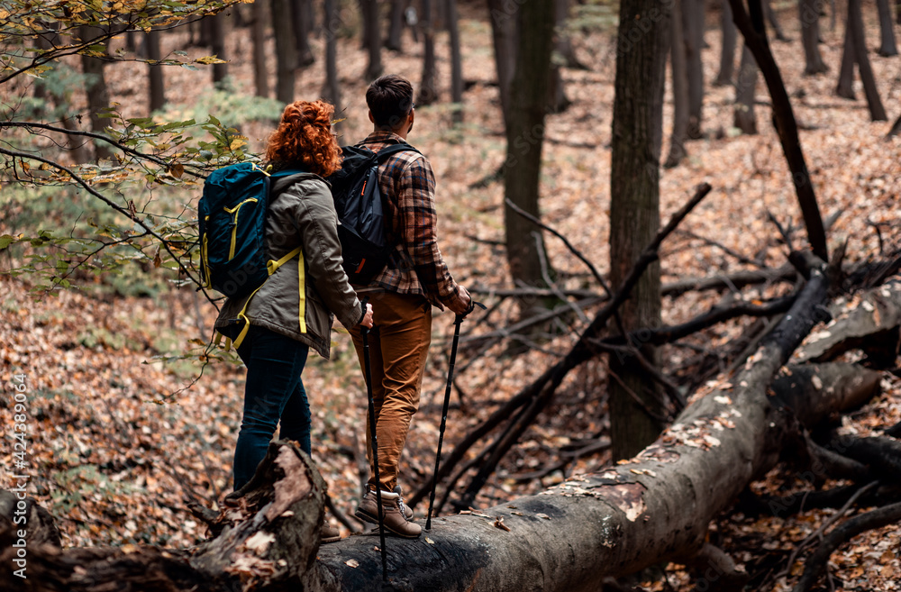 Two young hikers with backpack walking in forest on collapsed trunk.