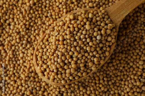 Wooden spoon and mustard seeds, close up