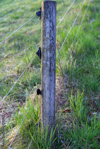 Wooden pole with wires as part of a fence. Photo taken April 1st, 2021, Zurich, Switzerland.