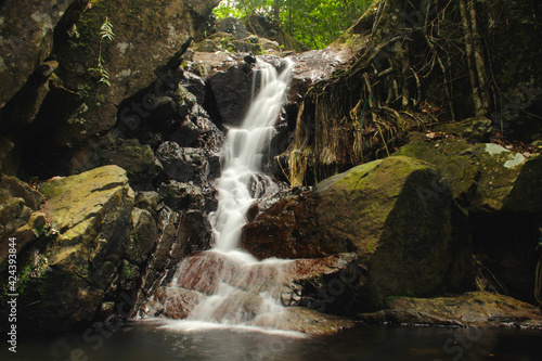 Fototapeta Naklejka Na Ścianę i Meble -  Flowing waterfalls in the rainforest on an island. 