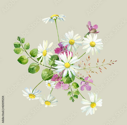 Watercolor bouquet of wild flowers carnation and chamomile