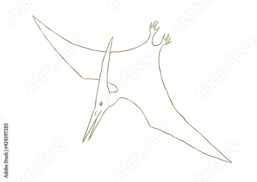 Outline dinosaur pterodactyloidea flies on a white background