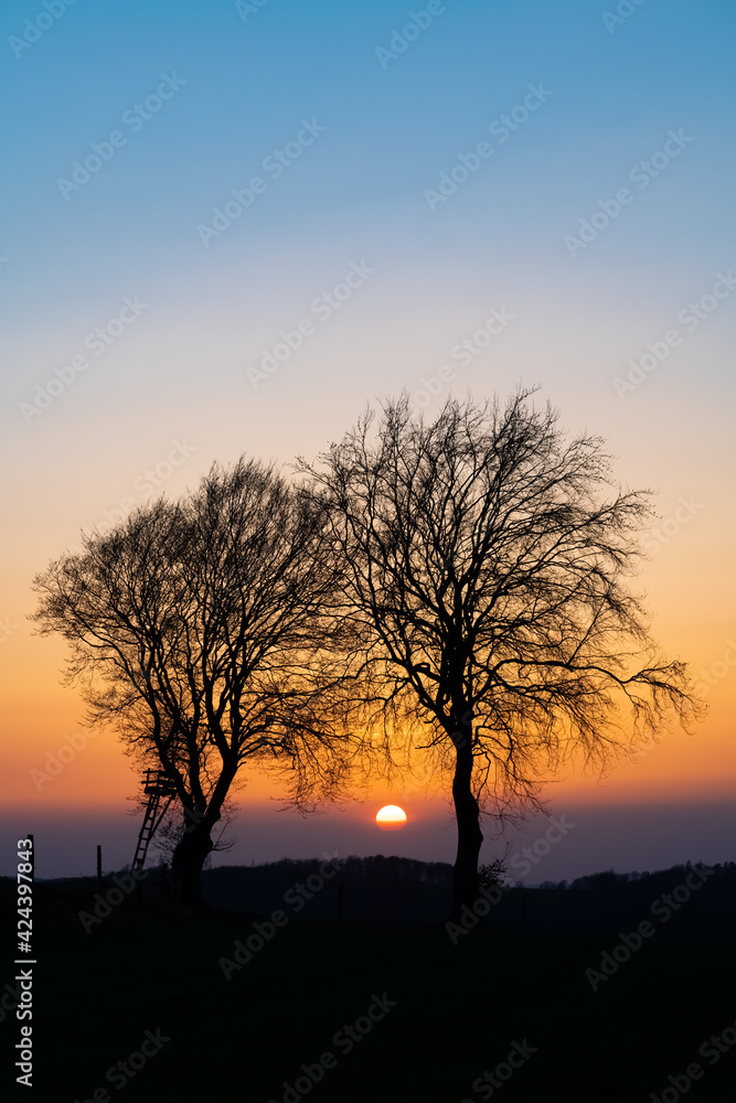 Bäume Silhouetten Sonnenuntergang Äste Zweige Paar 2 Dämmerung Farbverlauf Himmel bunt Sonne Atmosphäre Idyll Sauerland Iserlohn Ruhrgebiet Westen Landschaft romantisch Winter Frühling Natur Aussicht