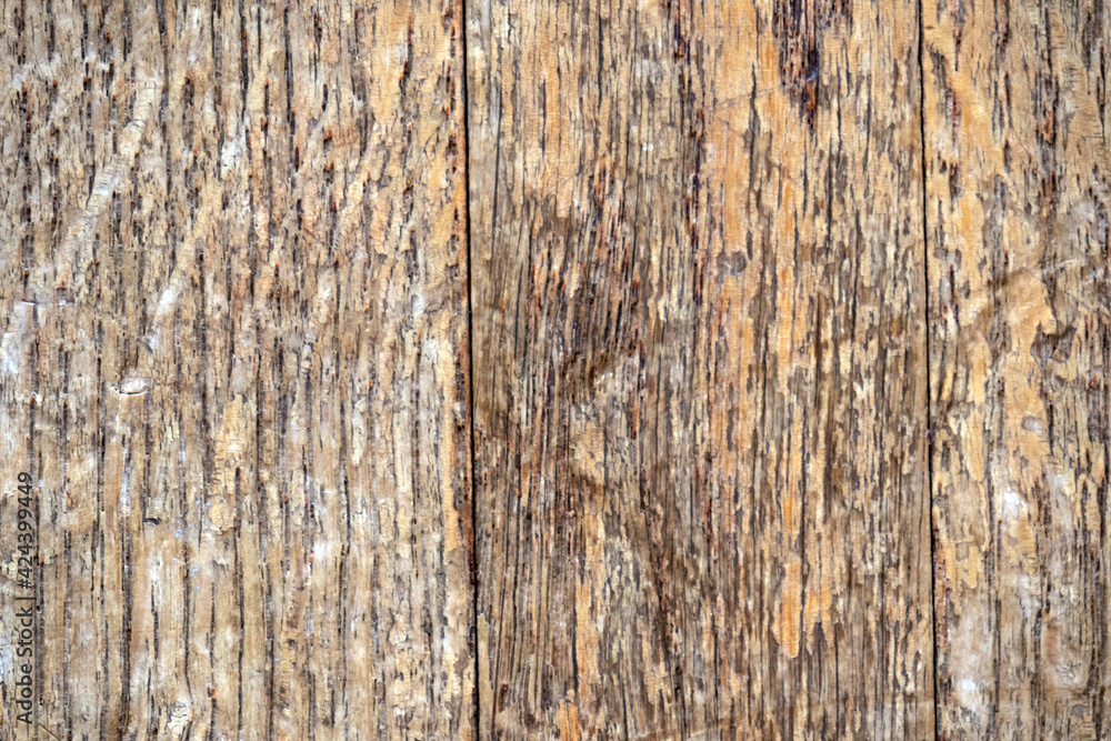 abstraction wood oak and texture with light brown wooden background