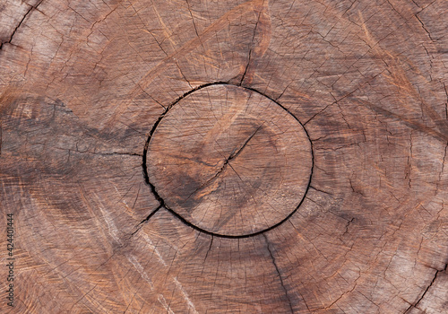 Circle of wood pattern. The...