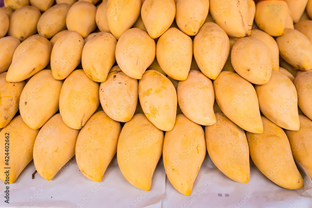 Ripe mango, sweet, delicious, golden color, ready to eat. Queen of Thai fruits. Ripe mango, sweet, delicious, golden color, ready to eat. Queen of Thai fruits.