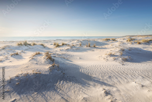 Fototapeta Naklejka Na Ścianę i Meble -  White sand beach and dunes. Vada Rosignano, Tuscany, Italy