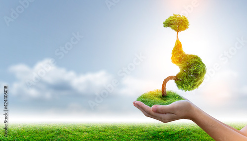 The tree (stomach) is a 3D illustration of the medical environmental concept.