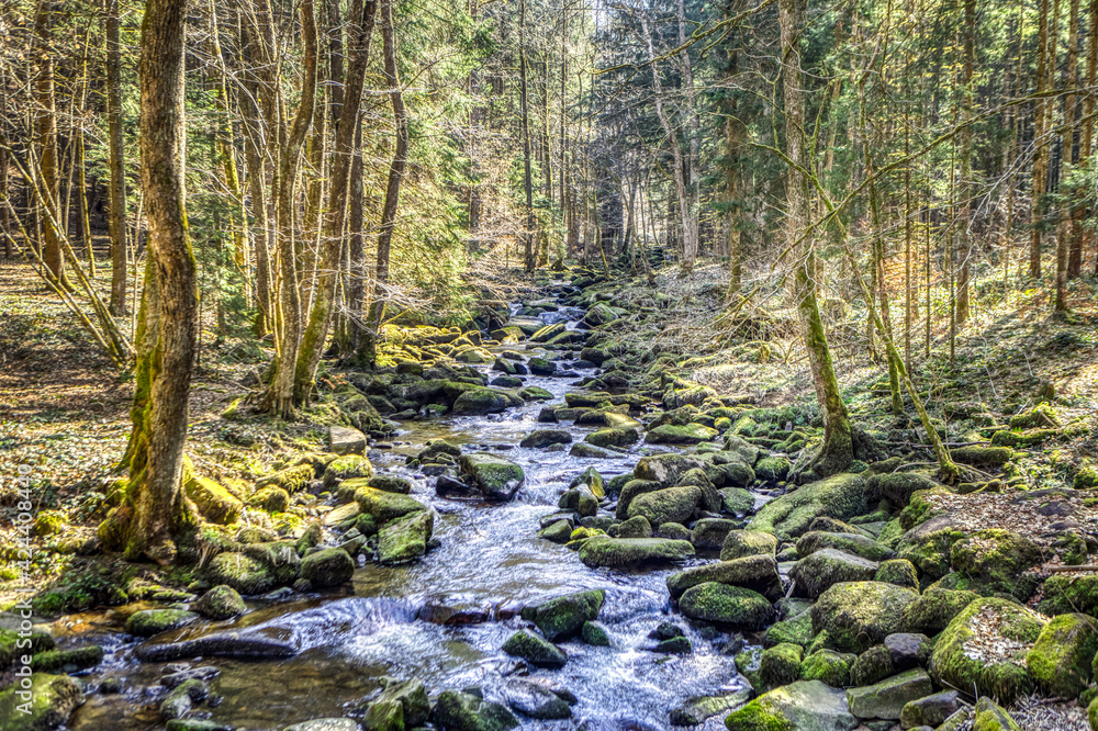 brook in the bavarian forest. Hiking at Saußbachklamm, Waldkirchen, bavaria brook in the bavarian forest. Hiking at Saußbachklamm, Waldkirchen, bavaria