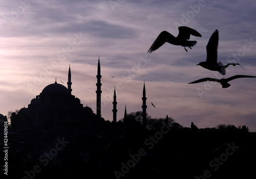 istanbul,Turkey : Suleymaniye Mosque and Seagulls © serkan