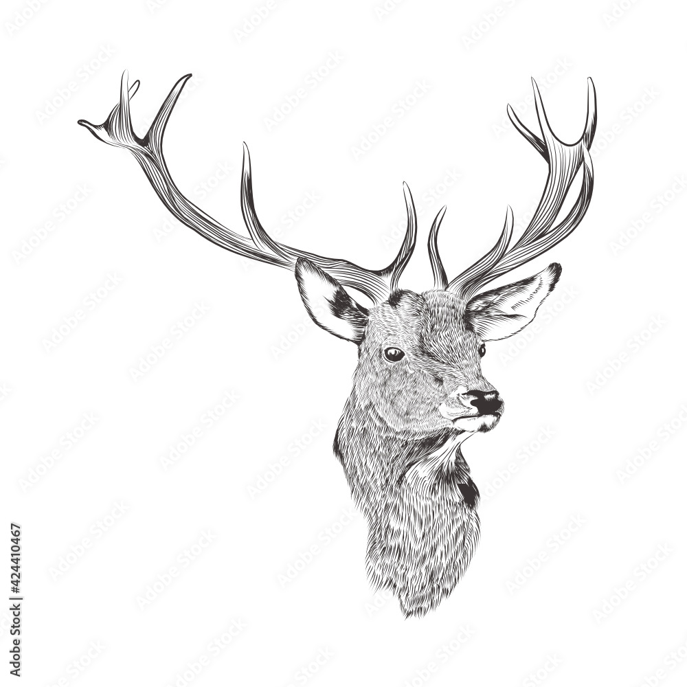 Naklejka premium Black vector silhouette of deer's head with antlers isolated on white background