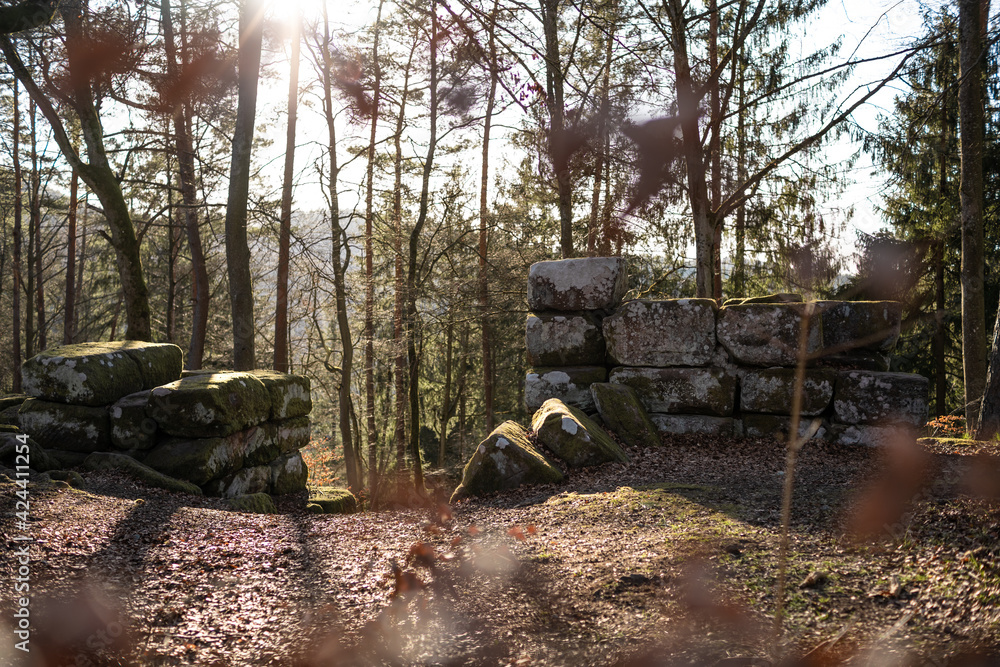 Heidelsburg (römische Bergfestung 2. - 4. Jh n. Chr.) Heidelsburg (römische Bergfestung 2. - 4. Jh n. Chr.)
