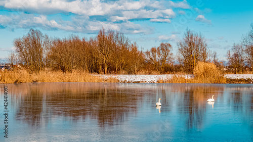 Beautiful winter landscape with reflections in a frozen pond on a sunny day near Wallersdorf, Bavaria, Germany