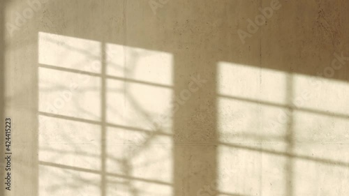 Timelapse of sunset light on the wall with tree and window shadow.