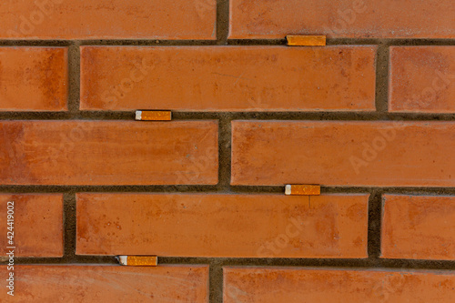 Cuadro en lienzo Cigarettes stuck in a wall