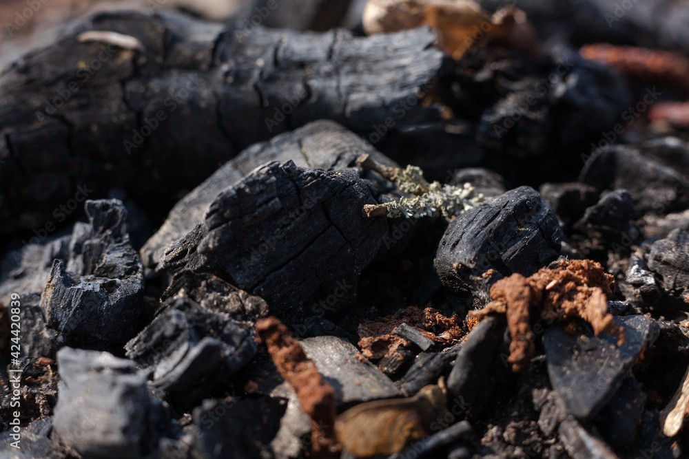 Coals and embers glowing in the remains of a bonfire. Camping. Coals and embers glowing in the remains of a bonfire. Camping.