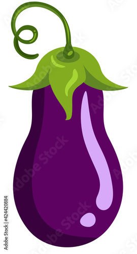 Fresh eggplant whole isolated on white
