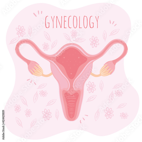 gynecology feminine organ