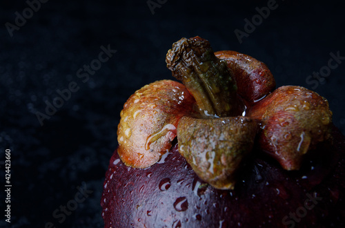 Beautiful ripe mangosteen with water drops on the peel on a dark background.