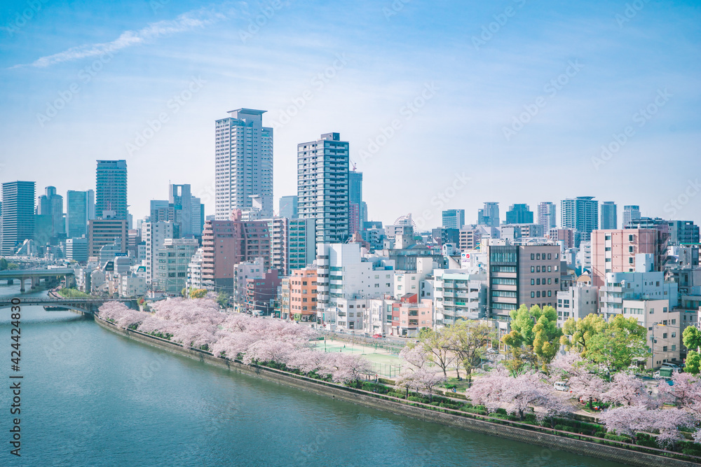 春の大阪の街並み（大川の桜）