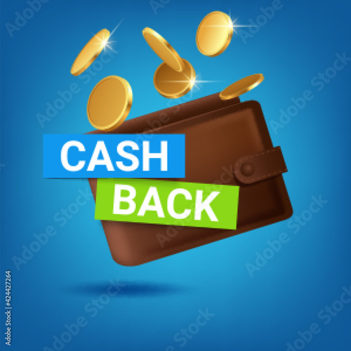 Cash back in wallet. Cashback icon with coins