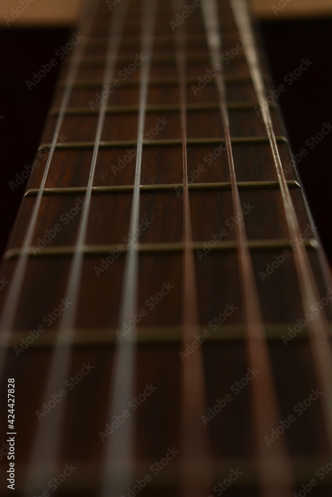 guitar neck with frets and metal strings guitar neck with frets and metal strings