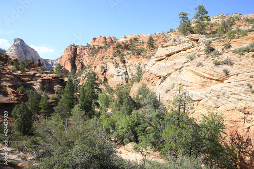 Zion National Park in Utah  USA