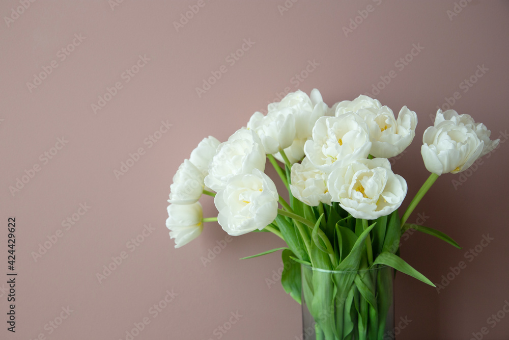 Bouquet of fresh white peony tulips in a transparent vase on a gentle pink background