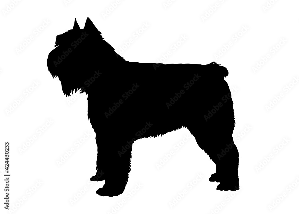 Bouvier des flandres dog silhouette, Vector silhouette of a dog on a white background. Bouvier des flandres dog silhouette, Vector silhouette of a dog on a white background.
