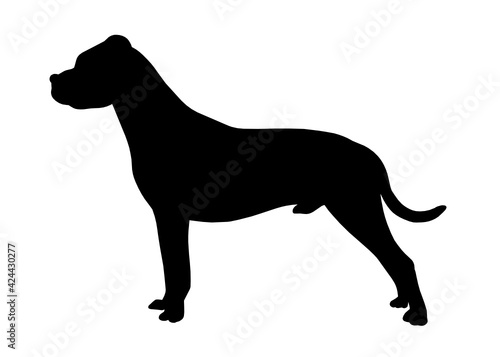 Dogo argentino dog silhouette  Vector silhouette of a dog on a white background.