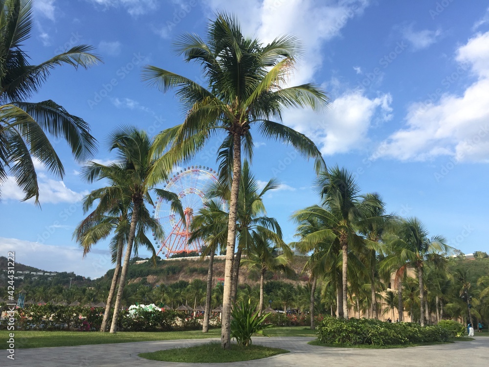 beach with trees