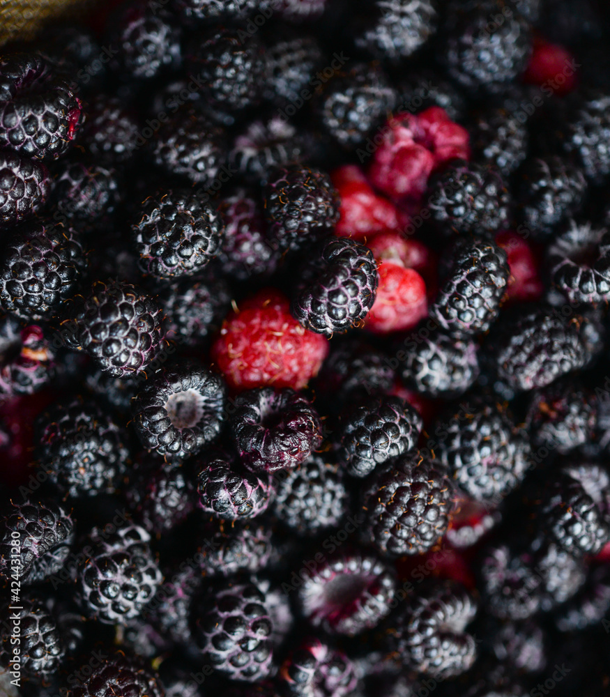 Background of fresh ripe blackberries Background of fresh ripe blackberries
