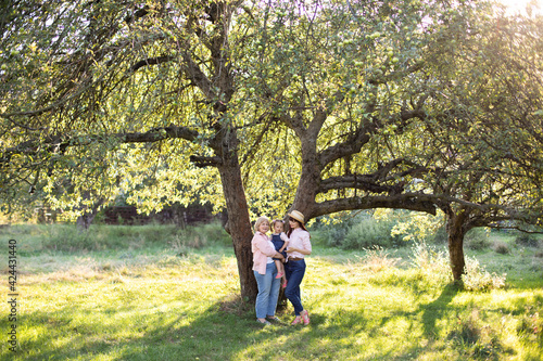 Family of three generation women, spending time together in green summer garden, posing under the big tree.