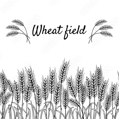 stock vector wheat field seamless border