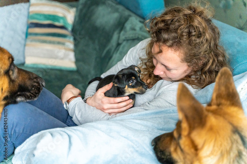 Young woman is sitting on the sofa with her little Jack Russell Terrier puppy in her arms. Two out of focus German Shepherds are looking curiously at the puppy. Selective focus