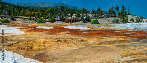 Fotografia Geothermal pools at Porcelain Basin boardwalk trail inside Norris Geyser Basin