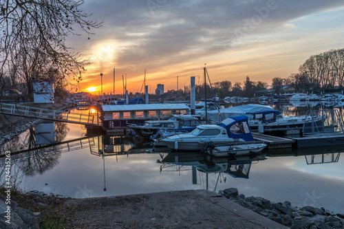 Sonnenaufgang am Hafen in Schierstein photo