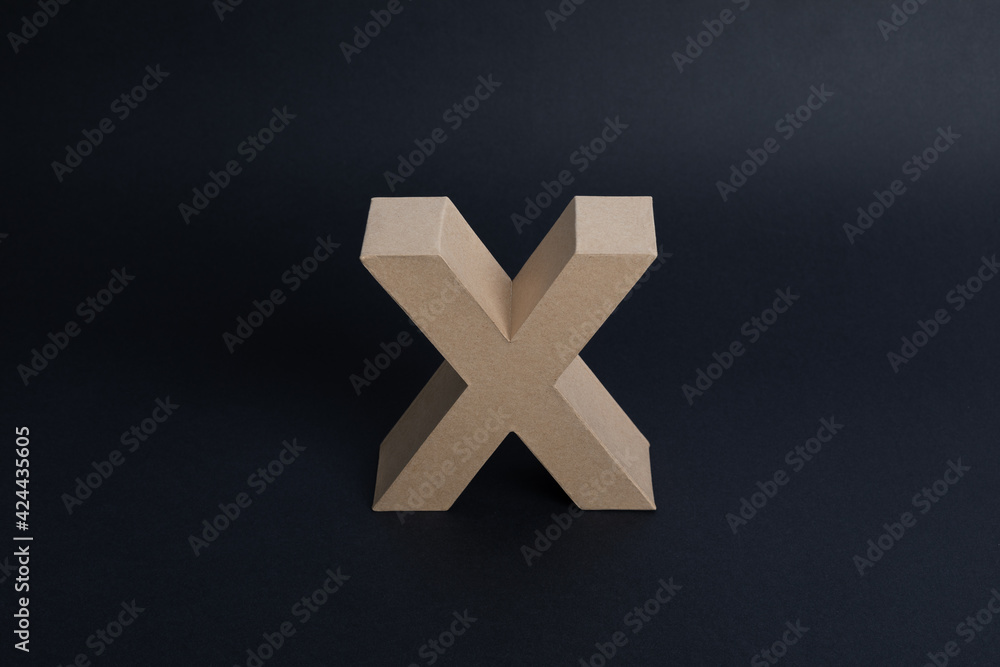 Fototapeta premium Letter X elegant