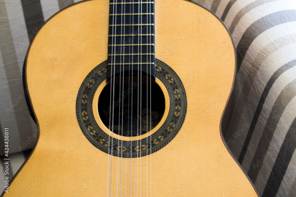 viola caipira Brazlian  folk guitar with ten strings 
in close
