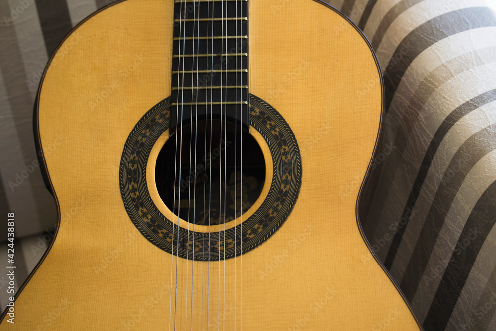viola caipira Brazlian  folk guitar with ten strings 
in close