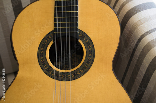 viola caipira Brazlian  folk guitar with ten strings 
in close photo