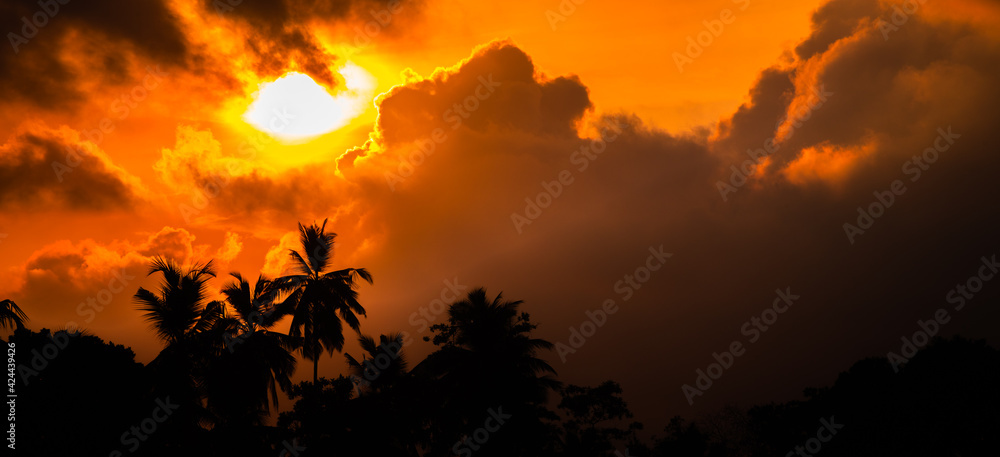 Sun going down beyond the palm trees. Sun going down beyond the palm trees.